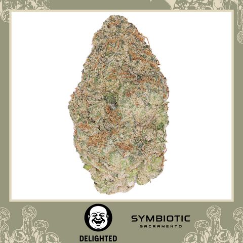 Thizz Face | 3.5g Flower | 33.7% Thc | Buy Recreational