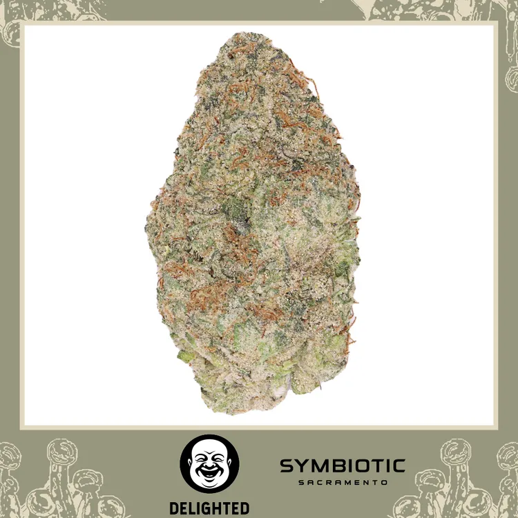 Thizz Face | 3.5g Flower | 33.7% Thc | Buy Recreational